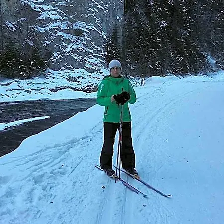 Lodge Rekreacna Usadlost Pieninka Lesnica