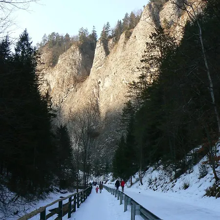 Rekreacna Usadlost Pieninka אכסניה Lesnica